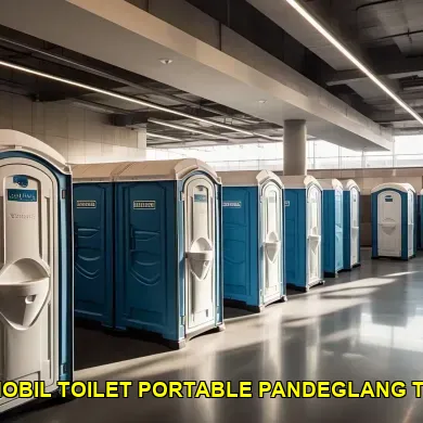 sewa mobil toilet portable pandeglang terbaik